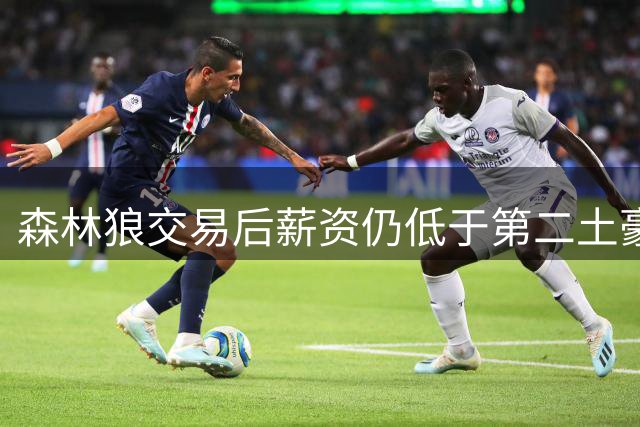 森林狼交易后薪资仍低于第二土豪线450万 签下库明加还能再补第14人